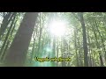 Jets Overhead Get It Right Legendado