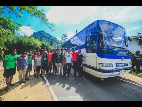 Kanneliya -Jungle Beach Journey 🚎🌿🏘🏞🏊🏽‍♂️, FoE SAITM B8 (2016)