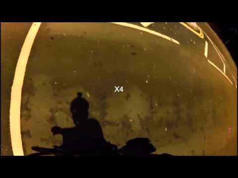 FL58 GUF - MGIF and ASL Abuse