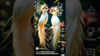 Download lagu https://www.facebook.com/61557066045585/posts/pfbid02uteahQP12uFSWCHEBBFogVBuafmjVMztV336Pqwef mp3 Download lagu https://www.facebook.com/61557066045585/posts/pfbid02uteahQP12uFSWCHEBBFogVBuafmjVMztV336Pqwef mp3