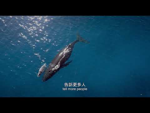 男人與他的海Whale Island_預告 trailer
