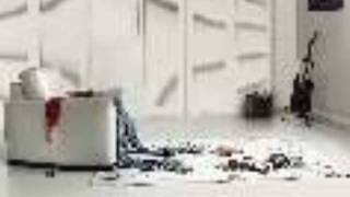 Ziggy Marley Shalom Salaam