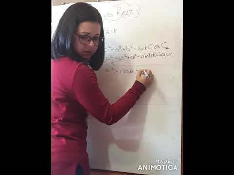 WISKUNDE GRAAD 11: 19 Augustus 2020 - periode 3 (19113)