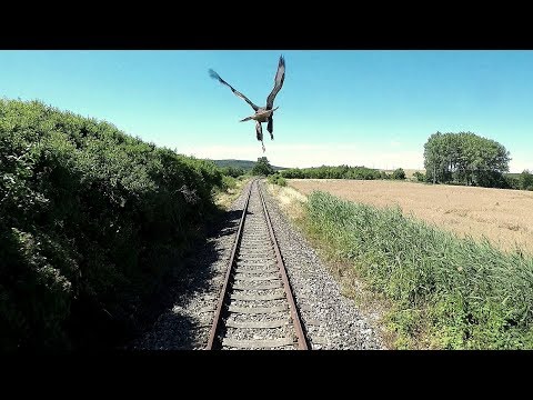 Train Driver's view / Pohled strojvedoucího DOLNÍ BOUSOV - KOPIDLNO (trať 063)
