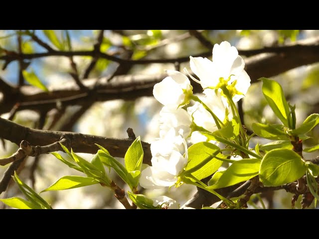 В России началась трёхдневная рабочая неделя