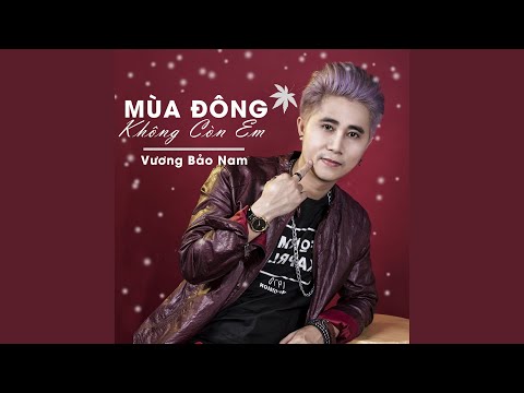 Mùa đông không còn em - Vương Bảo Nam