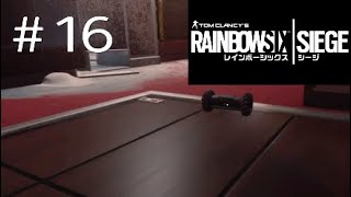 #16【R6S】兄妹による部活動！「レインボーシックス シージ(PS4版)」【兄妹ゲーム.ポチガト】