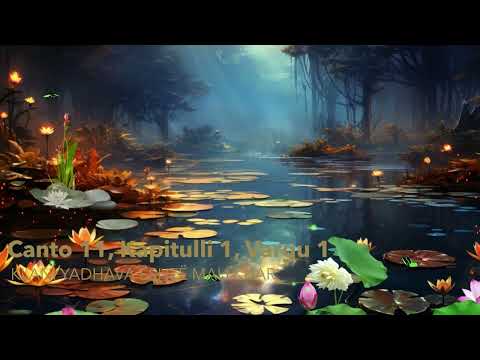 KLANI YADHAVA ËSHTË MALLKUAR - Canto 11 _ Kapitulli 1 _ Vargu 1