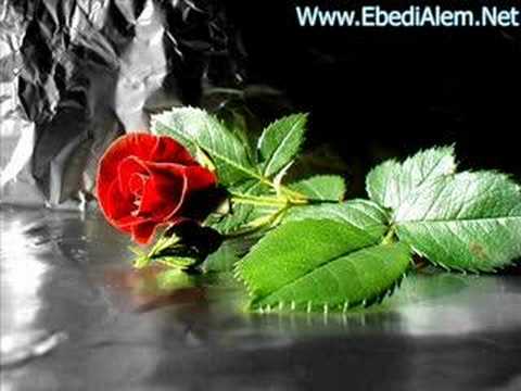 Musa ft. Gülşah - Yalnızım (Www.EbediAlem.Net) Süper Şarkı