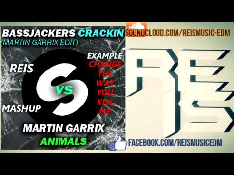 Bassjackers & Martin Garrix vs. Example - Change the Crackin' Animals (REIS Mashup)