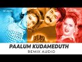 Paalum Kudameduthu REMIX - Mohanlal - Dance Mix - DJ Akhil VDJ Haris- Thandavam