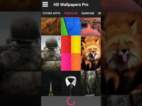 1080p Wallpapers & Backgrunds Video