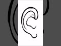 The Tinnitus Sound Effect