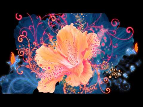 Luz Divina ~Sound of Light