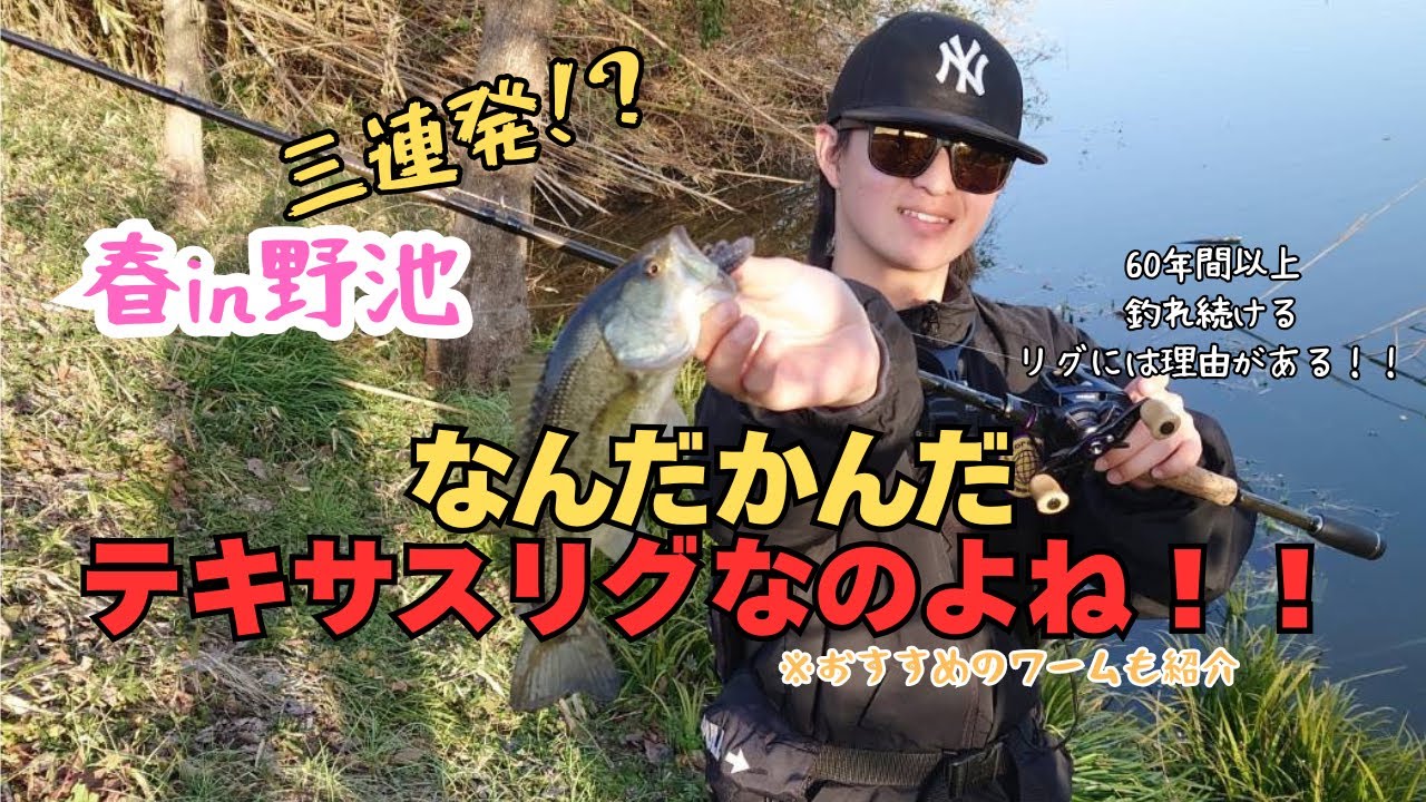 【春バス釣り】バスを連発させて釣る方法！春バス釣り/おすすめリグ