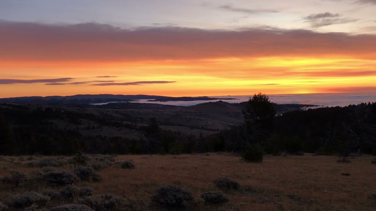 Elk Hunt Scenery