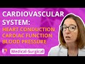 Heart Conduction System Cardiac Function Blood Pressure Medical Surgical Cardio LevelUpRN