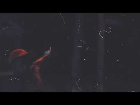 RX Geek - Quarantine