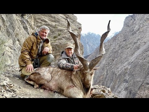 Markhor 2018 Hunting (Chasse) is the best for conservation by seladang