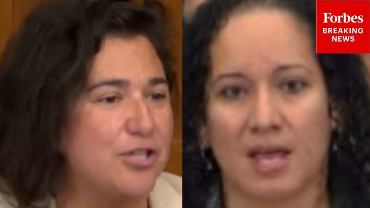 Video: Democrat questions GAO on login.gov leadership amid DOGE appointee concerns