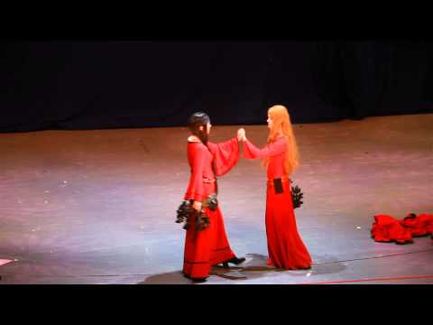 Animatrix 2014: Эльфы