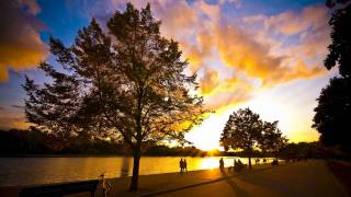 Erlend Oye - Sheltered Life vs. Fine Day [A Capella] mix