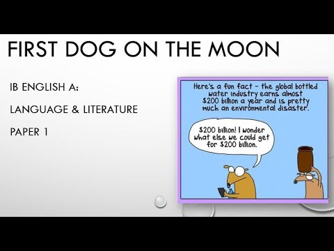 IB English A Paper 1 analysis