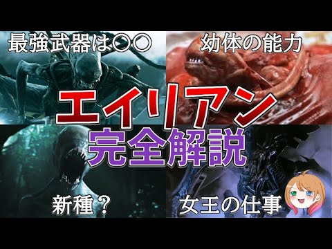 Nuvola アプリの日付.svg