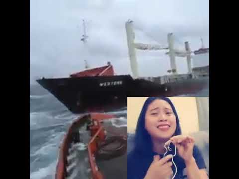 MARINO by: melody Flores Martos