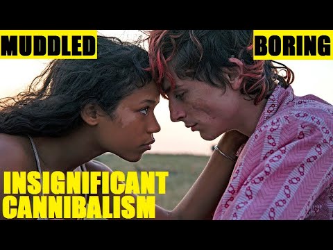 Bones and All Horror Review - Bad Movie Reviews