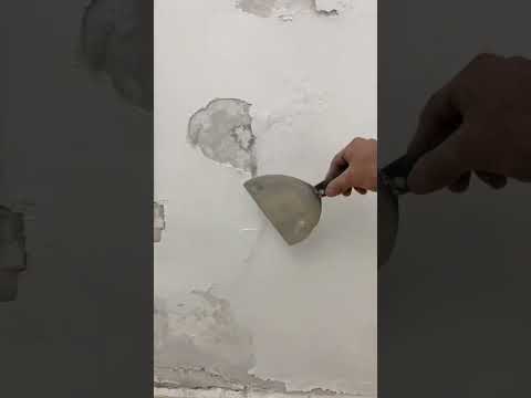 Peeling paint repair. Water damage wall repair. #homeimprovement #diy #paintingadvice #homepainting