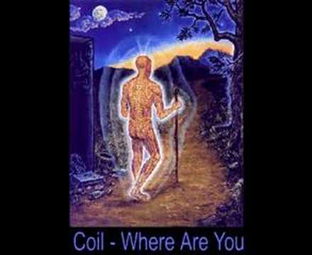 coil - where are you