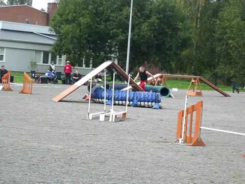 slapko porri agility hml060908