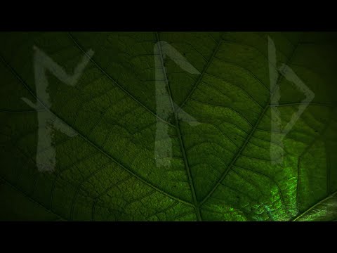 Galdorcræft - Oak Ash & Thorn