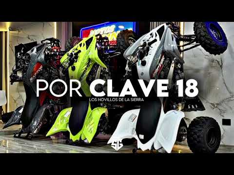 Los Novillos De La Sierra - Por Clave 18 (Corridos 2025)