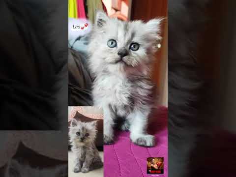 😻😻😊🤗    2/12/2021