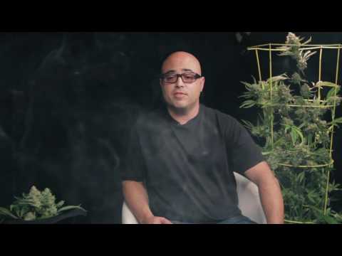 Between Two Strains - Josh D