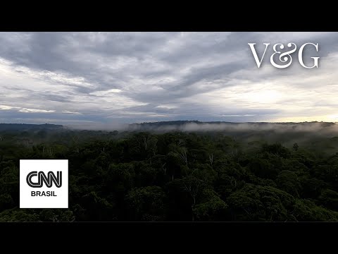 Contemplando os Rios Voadores na Amazônia