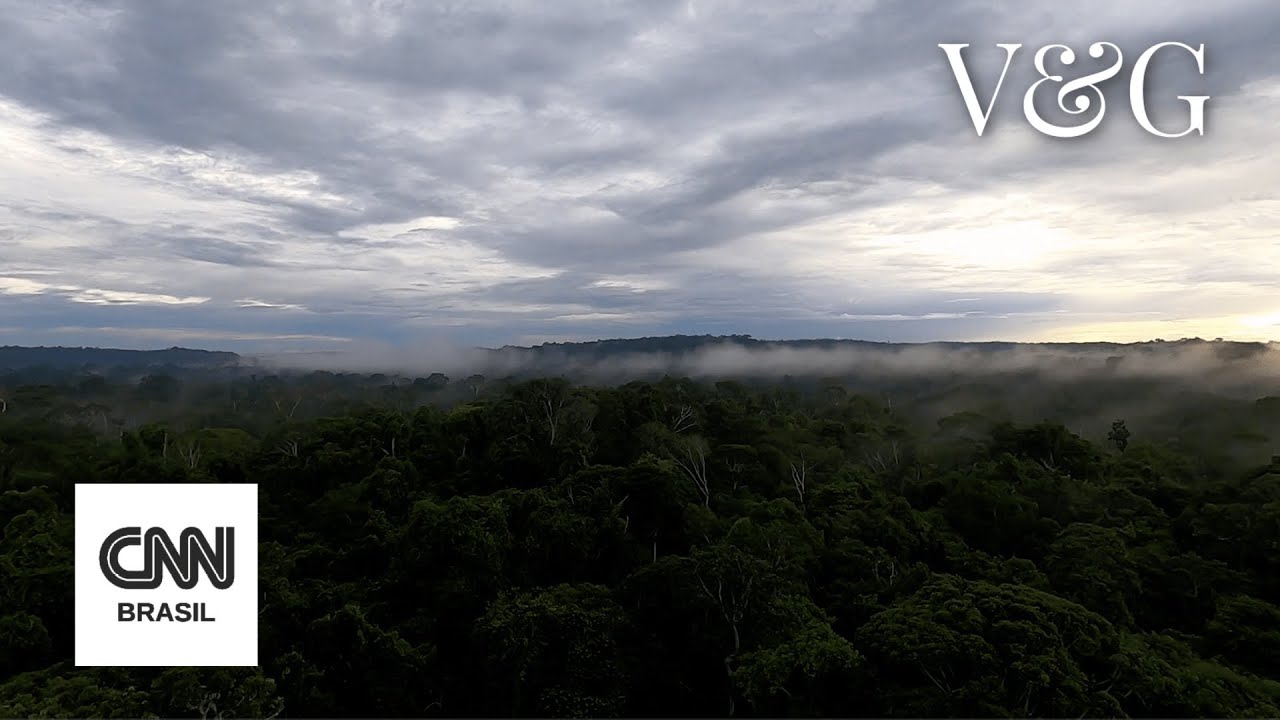 Contemplando os Rios Voadores na Amazônia