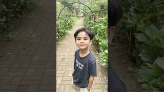 Download lagu Dj Aku Suka Wajah Imut-imut #djimut #jjedit #jedagjedug #jedagjedugviral #trendingshorts #trending mp3