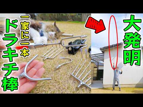 youtube-動物記事1970/01/01 09:00:00