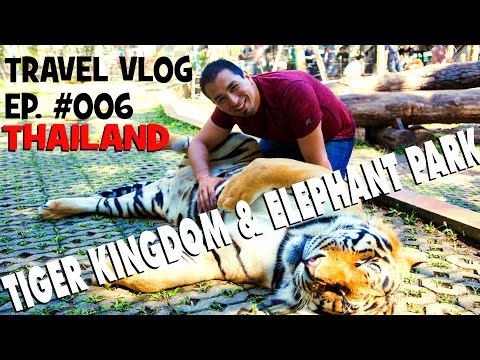 Face to face with Giant Tiger & Elephant Park in Thailand - Travel Vlog 006