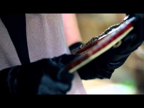 THE PAIN KILLING YOU INSIDE