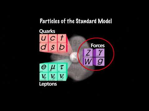 “What’s Left to Learn from Particle Accelerators?”