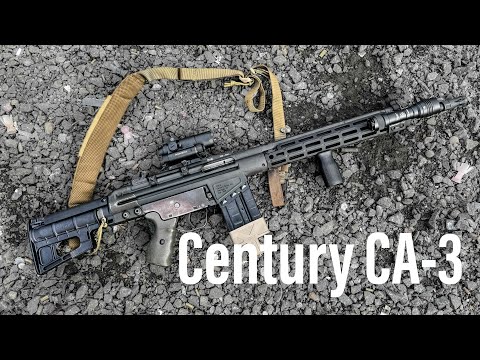 CA-3 Review - Portuguese G3