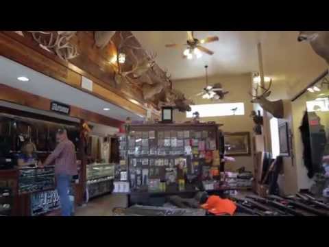 Alamo Arms
