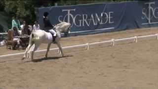 preview picture of video 'School of Dressage Sotogrande'