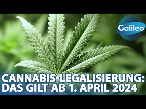 "Galileo" erklärt, was du über die Cannabis-Legalisierung ab dem 1. April 2024 wissen solltest
