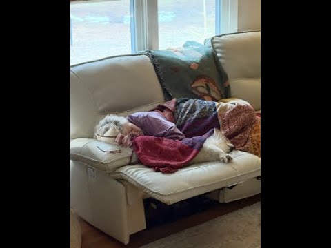 Don and Diane Shipley LIVE - March 9th at 1800 EST Thumbnail