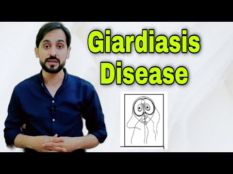 Giardiasis | Giardia Lamblia | Lab Diagnosis and Treatment